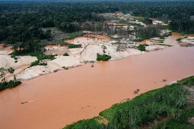 233-Arrested-in-Massive-Crackdown-on-Amazon-Environmental-Crime.jpg