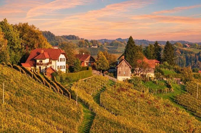 Europe-s-Best-Wine-Region-Is-Not-in-France-or-Italy.jpg